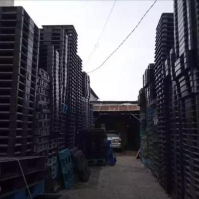 Palet Plastik Berkualitas1e9u1